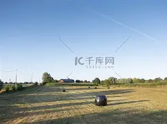 关于瓦朗谢纳客场战平波尔多保持不败的信息