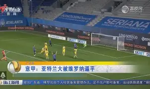 维罗纳逼平那不勒斯，状态逐渐回暖的简单介绍